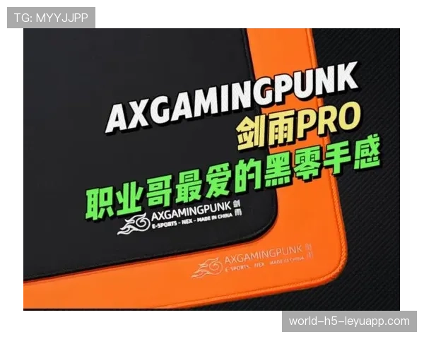 职业哥最爱的鼠标垫终于曝光(473 )