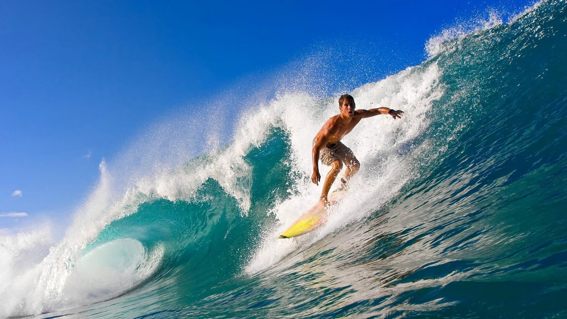 leyu-“2025新加坡世界游泳锦标赛：水上芭蕾给你带来惊艳演出”